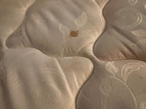 南萨莱纳舒适套房酒店主图