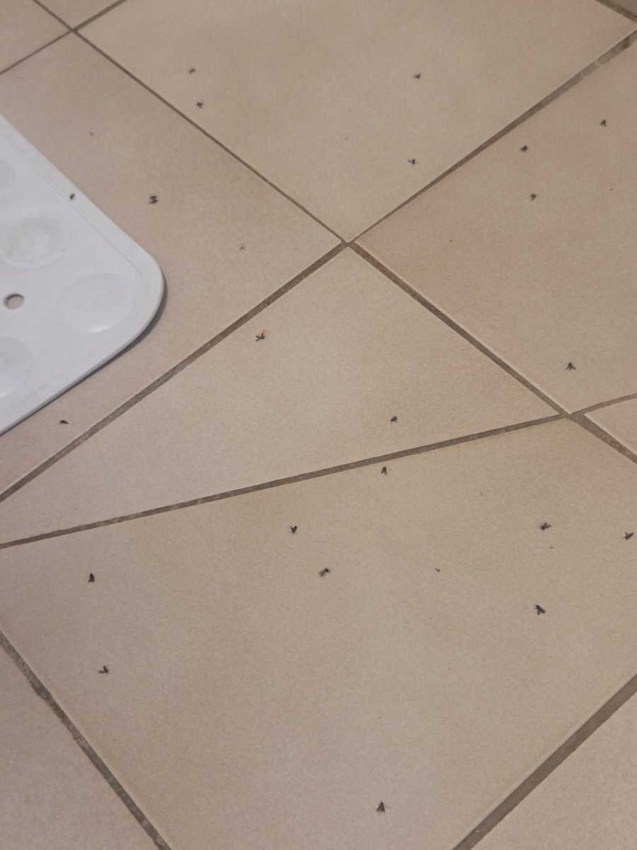 曼斯菲尔德谷汽车旅馆-浴室