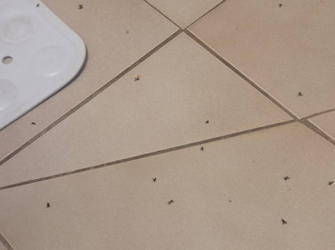 曼斯菲尔德谷汽车旅馆主图