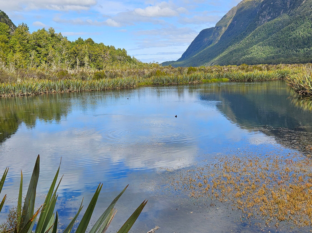 Mirror Lakes Walk-Fiordland National Park必去景点