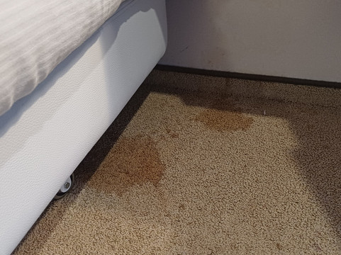 弗莱彻斯帕伦霍斯特-费卢韦酒店餐厅主图