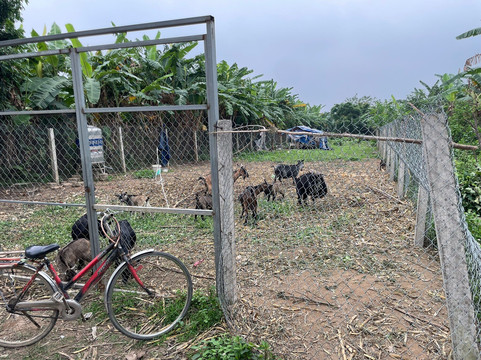 Authentic Vietnam Tours-河内必去景点