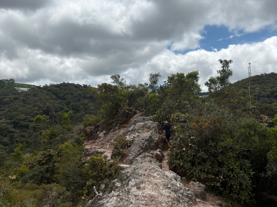Discover Camerons-丹那拉塔必去景点