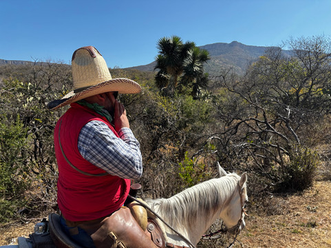 Cabalgatas Las Haciendas Horseback Adventures-Lagos de Moreno必去景点