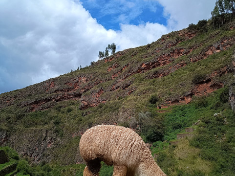 Tour in Peru-库斯科必去景点