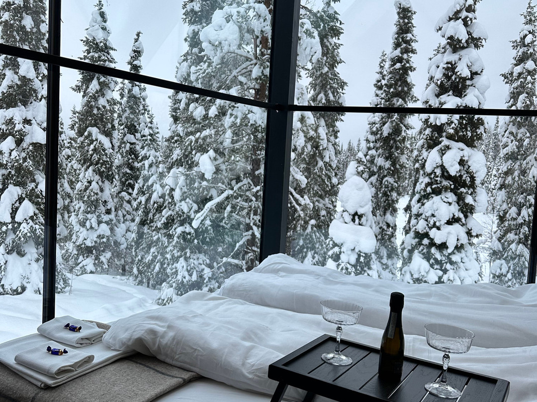 魔幻池塘自然冰屋酒店主图