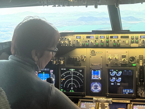 The Flight Experience-纽卡斯尔必去景点