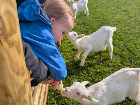 Pennywell Farm-Buckfastleigh必去景点