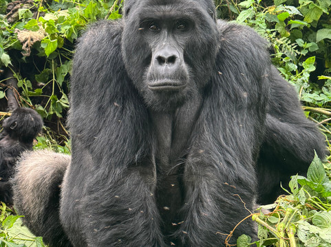 EverseenAfrica-霍德斯普鲁特必去景点