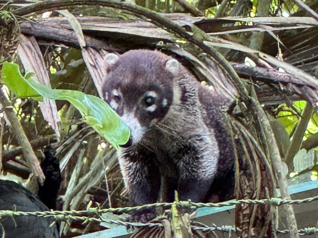 Genuine Costa Rica-Playas del Coco必去景点