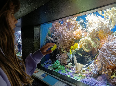 Tiergarten Ulm-乌尔姆必去景点