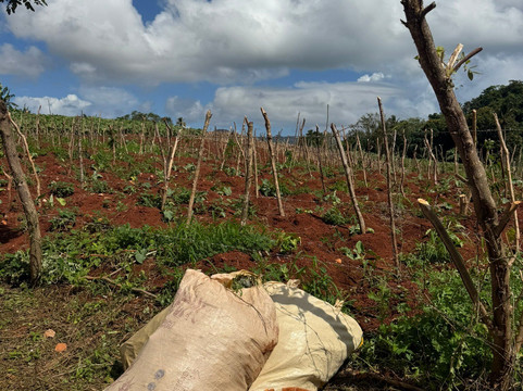 Joël and Ludi Excursions-Las Galeras必去景点