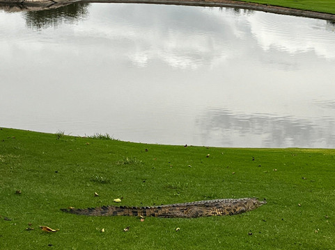 Leopard Creek Golf Course-马里兰必去景点