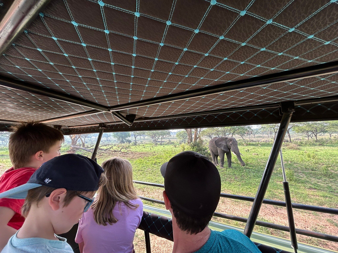 Steady Safaris Limited-坎帕拉必去景点