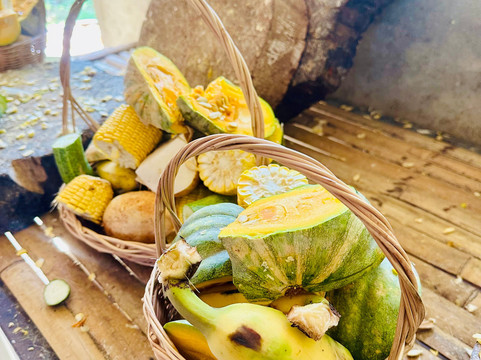 Phuket Elephant Nature Reserve-他朗必去景点