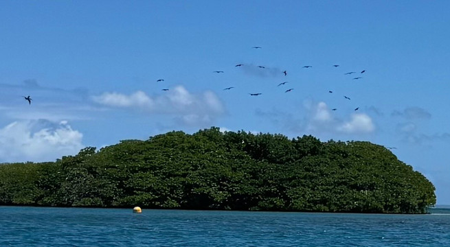 Alizes Adventure-Sainte Rose必去景点