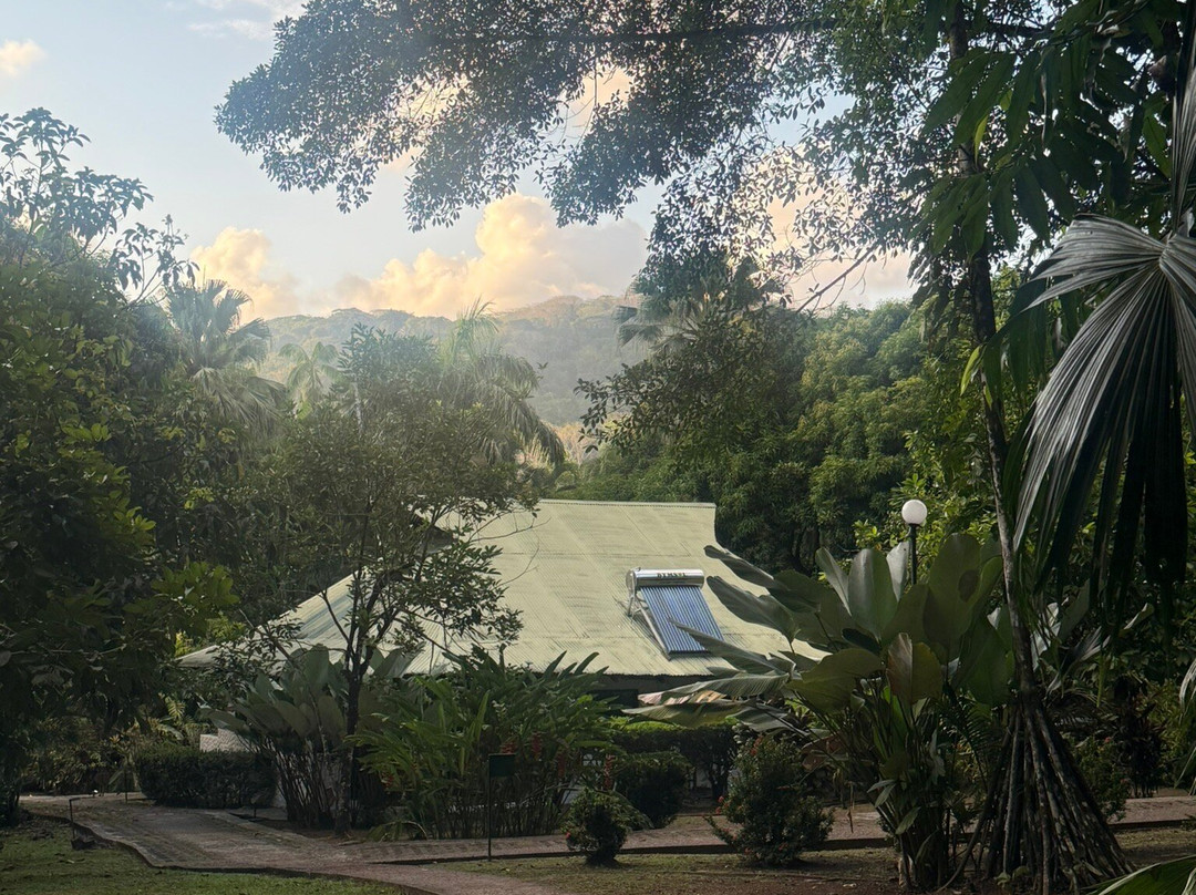 Dominical Surf School-主日镇必去景点