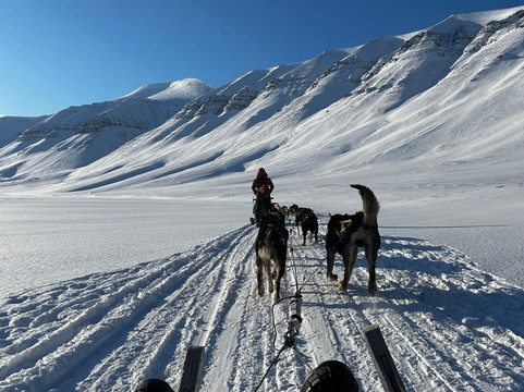 Green Dog Svalbard-朗伊尔城必去景点