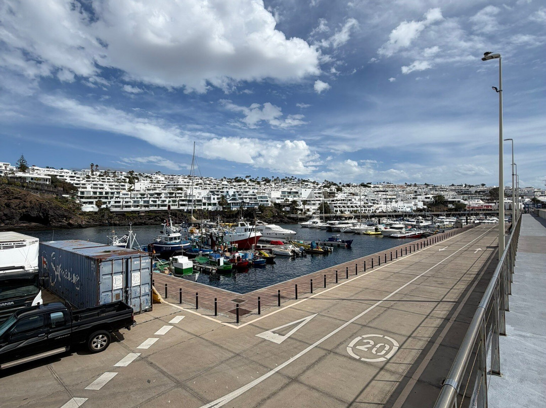 Old Town Harbour-卡门港必去景点