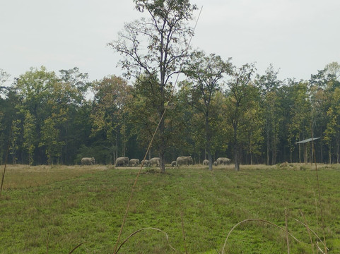Wild Trails Nepal-Thakurdwara必去景点