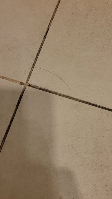 NH特内里费酒店-官方