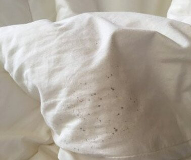 Chapa Express Train-河内必去景点