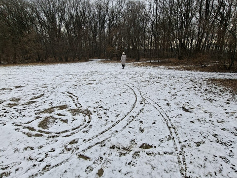 Hoia Baciu Forest-克卢日-纳波卡必去景点