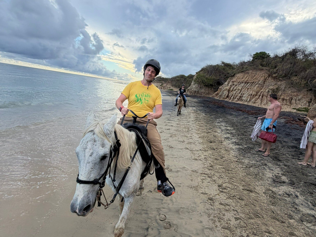 Esperanza Riding Company-维切克岛必去景点