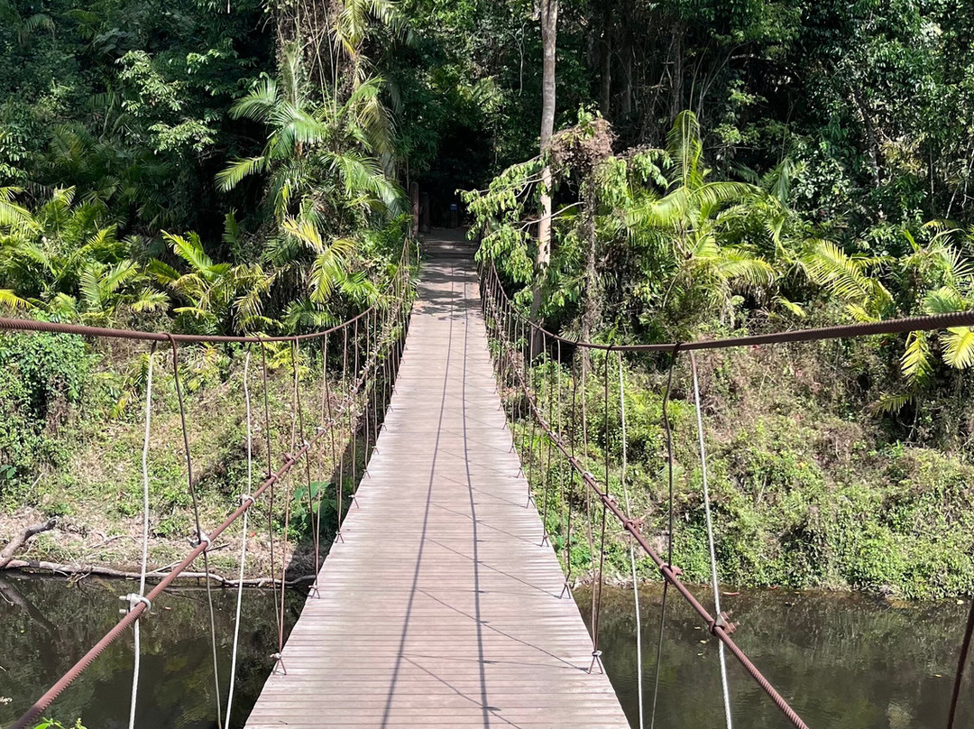 Bobby's Jungle Tours-北冲县必去景点