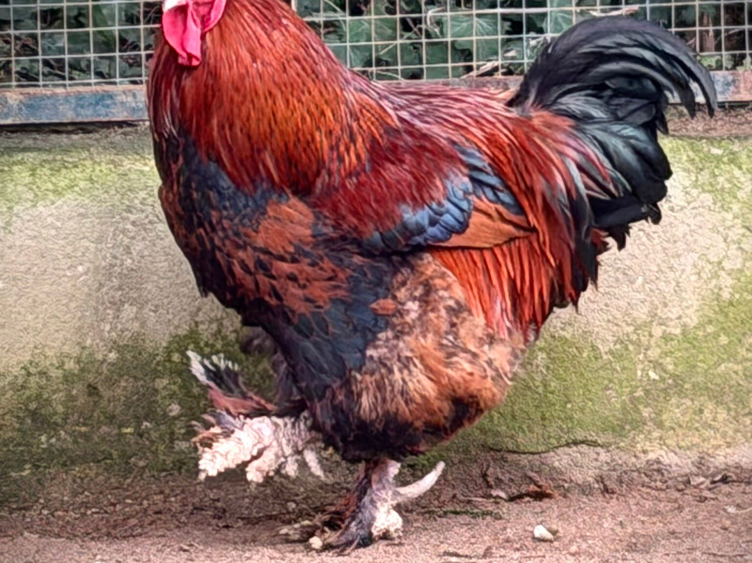 Le Refuge de l'Arche-Chateau-Gontier必去景点