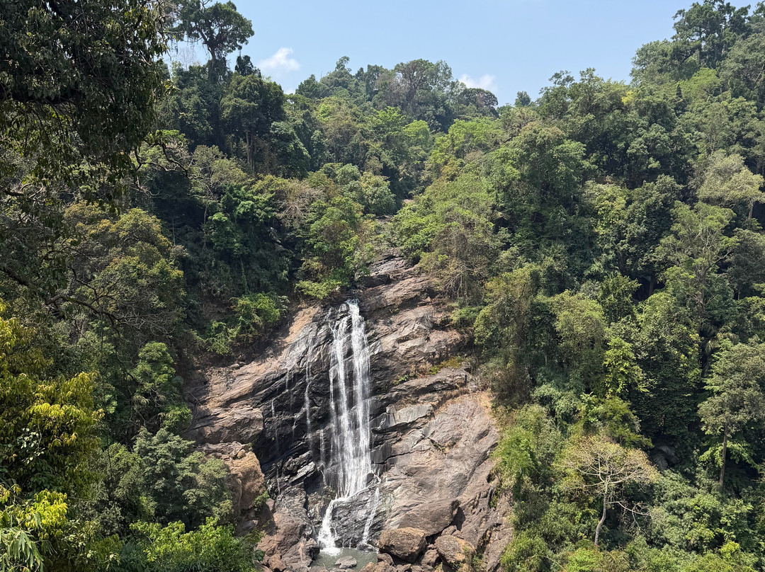 Kochi Taxi 24X7-柯钦必去景点