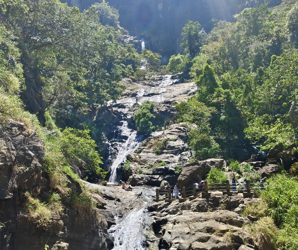 Dami Travels and Tours-锡吉里亚必去景点