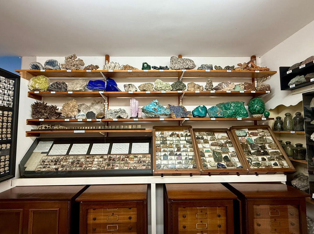 Dinosaurland Fossil Museum-莱姆里杰斯必去景点