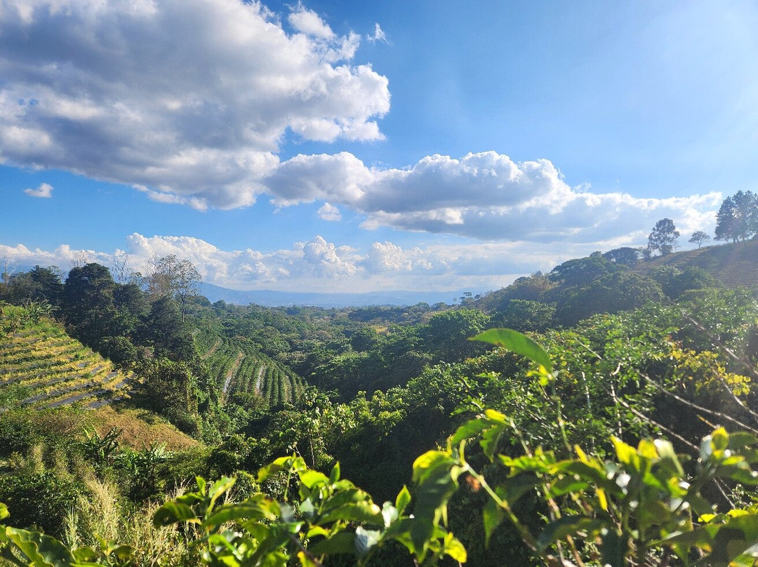 Hacienda Alsacia Starbucks Coffee Farm-Sabanilla必去景点