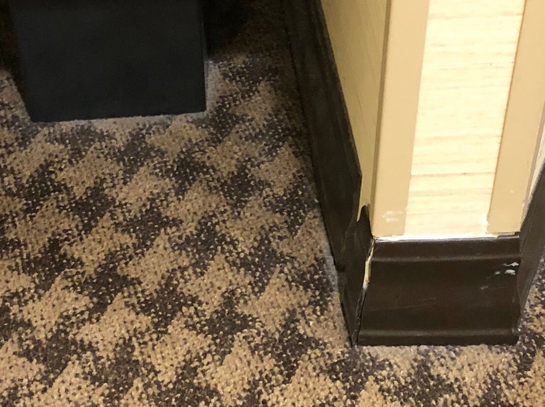 亚历山德里亚马克中心希尔顿酒店主图