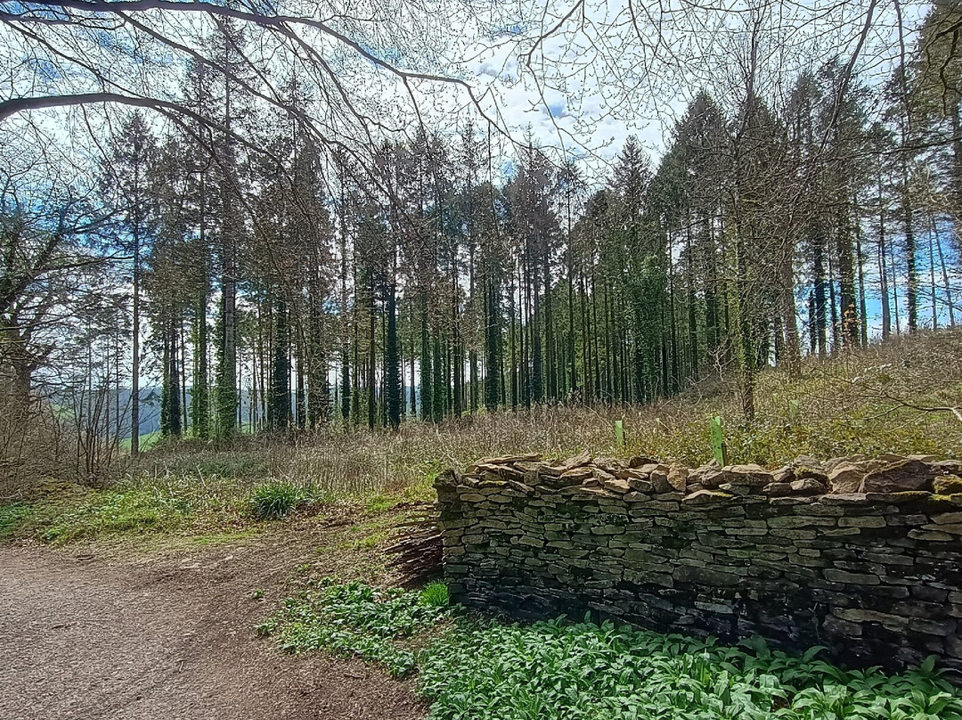 Newark Park-Ozleworth必去景点
