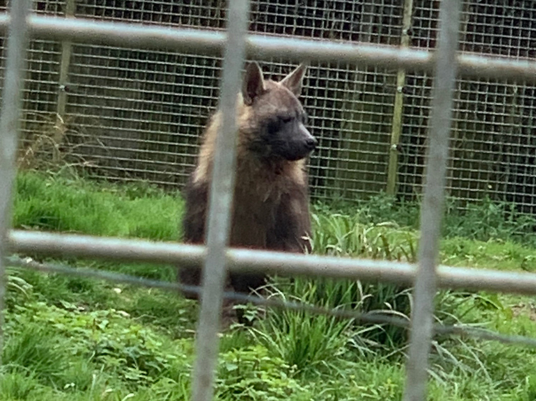Newquay Zoo-纽奎必去景点