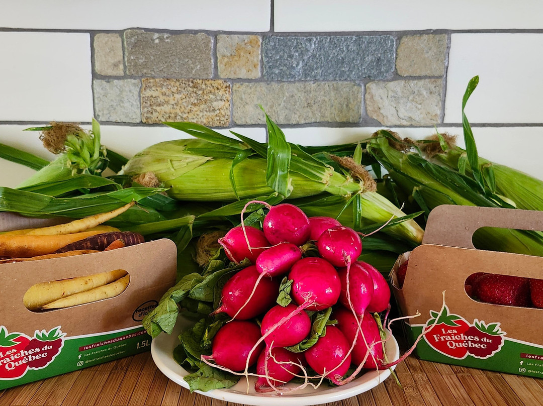 Polyculture Plante-Sainte-Petronille必去景点