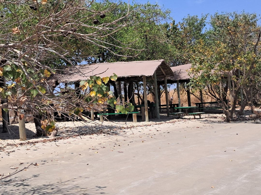 Fathala Wildlife Reserve-Dassilame Ba必去景点