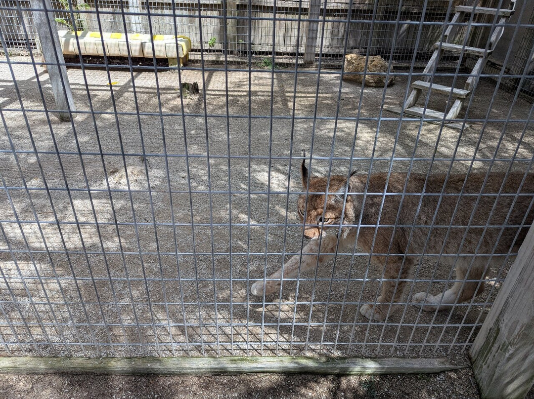 McCarthy's Wildlife Sanctuary-西棕榈滩必去景点