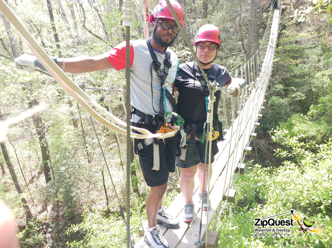 ZipQuest Waterfall & Treetop Adventure-费耶特维尔必去景点