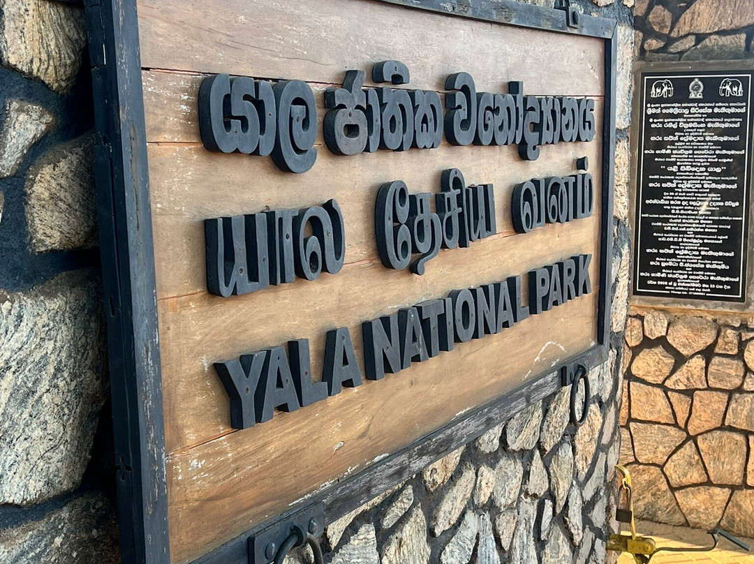 Yala Lahiru Safari-蒂瑟默哈拉默必去景点