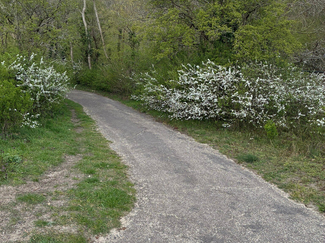 Meester Enschedepark