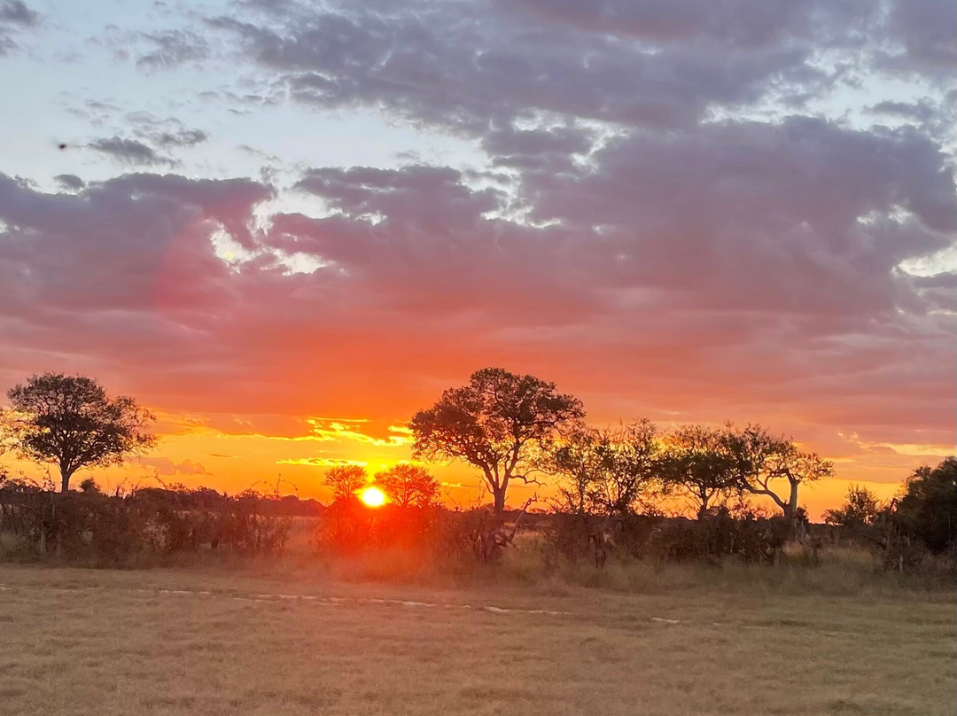 Camelthorn Lodge主图