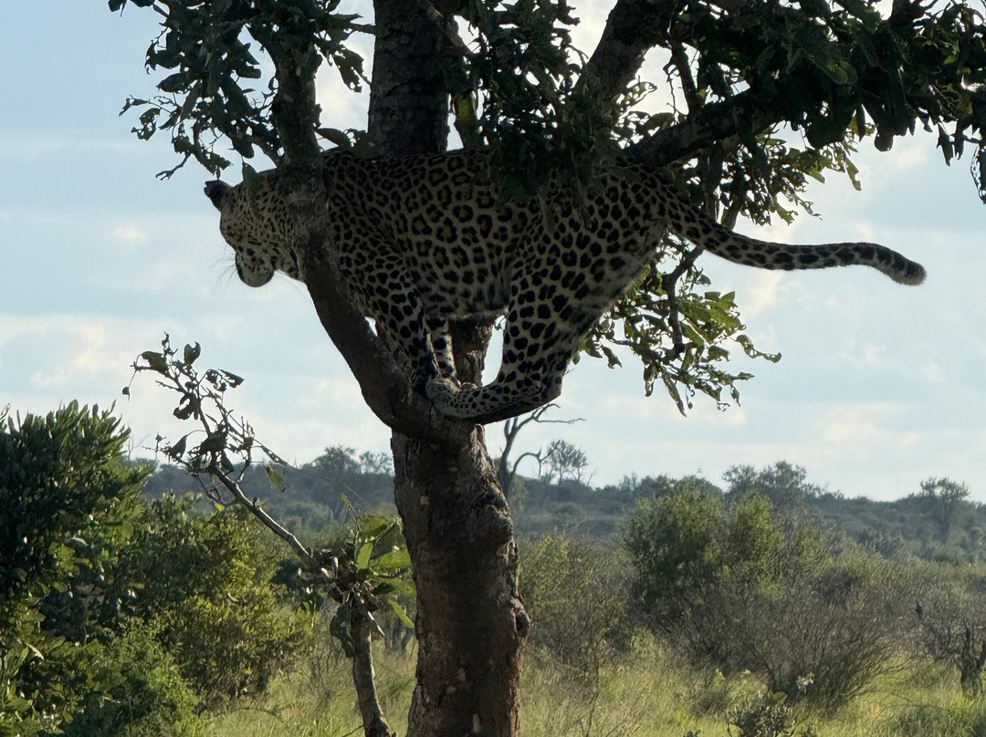 Royal Safaris-库马堤港必去景点