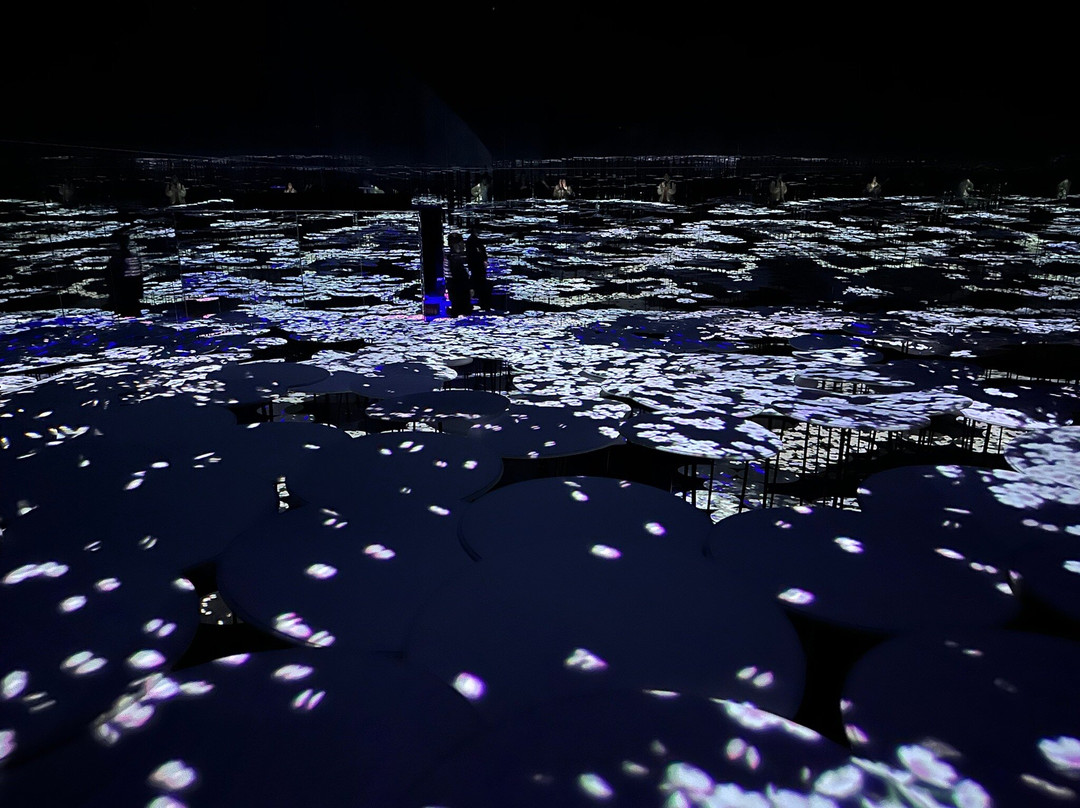 Teamlab Borderless Tokyo-港区必去景点