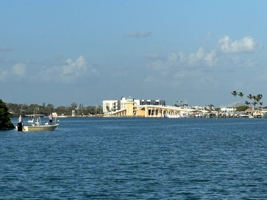 Magnolias On The Bay