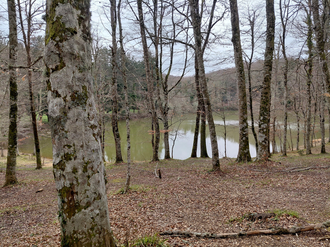Foresta Umbra-Monte Sant'Angelo必去景点