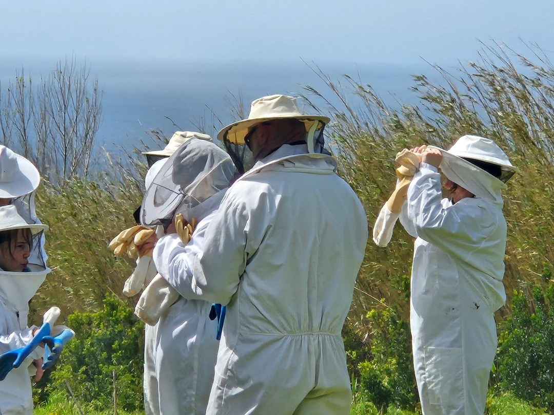 Apiário Margaridas-Fenais da Luz必去景点