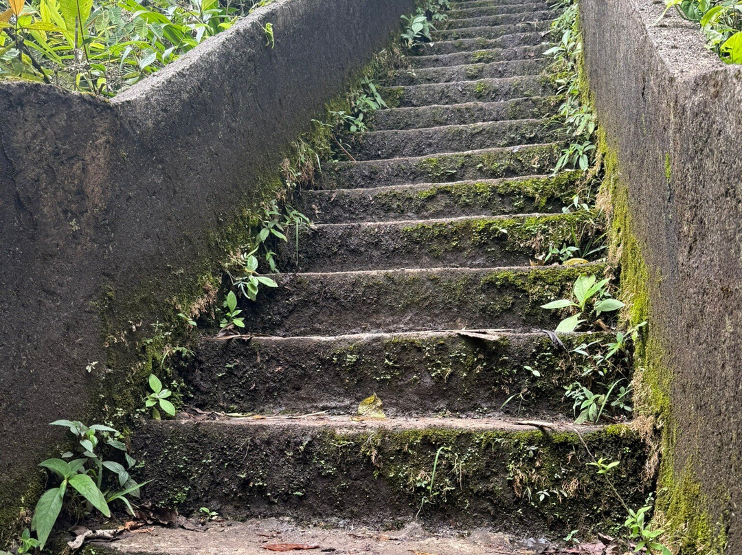 Catarata Del Toro-Bajos del Toro必去景点